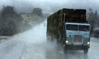 Tires for Heavy Duty Truck Use